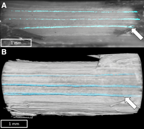 Cavitation visually resolved using OVT matches cavitation resolved with microCT.